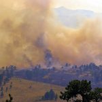 Dinas Damkar Pesisir Selatan Bersihkan Material Longsor Di Gedung DPRD
